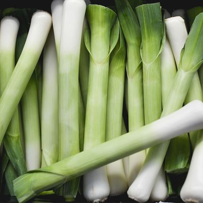 [명일원] 국내산 초신선 손질 절단 대파