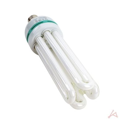 CH 장수 고와트 55W-D(E26)(WC67F20)