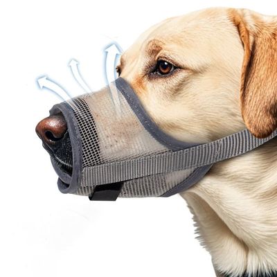 강아지 메쉬 입마개 산책 외출 훈련용품 짖음방지(WFI0KNT)