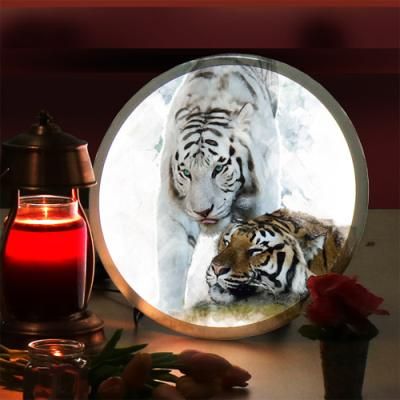 nc323-LED액자35R_백호와호랑이