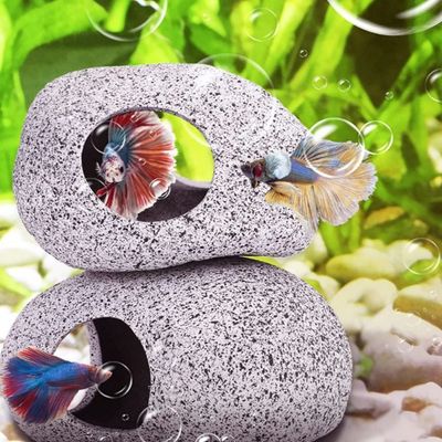 [와인앤쿡]구피 놀이터 은신처 세라믹 장식