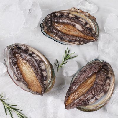 [산지직송]중사이즈 완도 활전복 500g(8-9미)산소포장