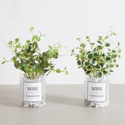 아이비 조화 화병 미니잎 얼음 set 22cm (DIY) 2타입