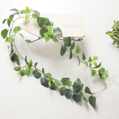 피토니아 넝쿨 조화 디럭스 180cm 인테리어 장식 소품