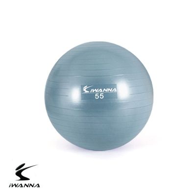 안티 버스트 짐볼 55cm 더스티 블루(WD9D2F4)