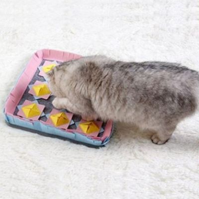 반려동물 애완동물 강아지 애견 고양이 놀이 간식 사