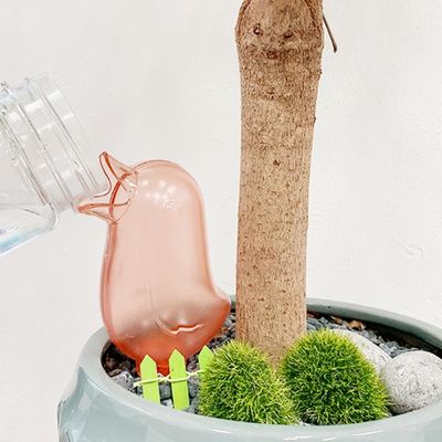 화분 새 자동 물주기 물공급기