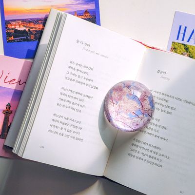 찬란한 벚꽃 문진