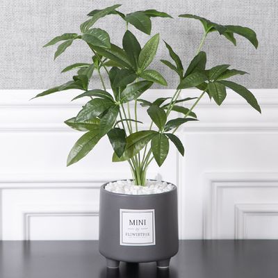 대형 홍콩야자 조화 화분 도자기 set 50cm 인테리어