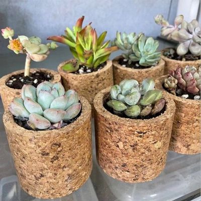 콜크 코르크 원통화분 (10개 묶음)(WFLQ6CI)