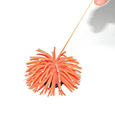 2개입 말미잘 성게 장식 수족관(WF6B2DC)