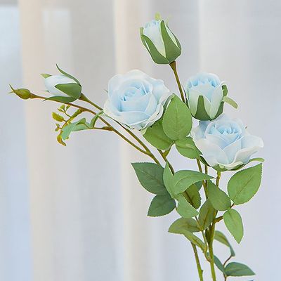 슈마켓 로즈 에스메랄다가지 블루1P(WFIT0IB)