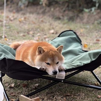 강아지 고양이 애견 캠핑 침대 해먹