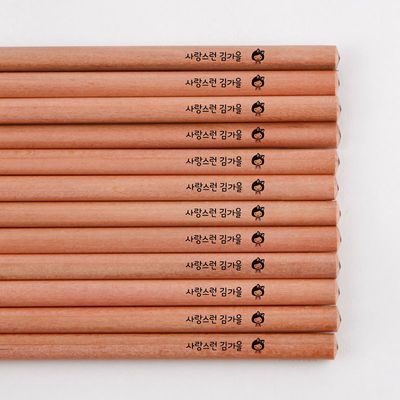 [주문제작]네임연필2B 12자루우드 모티브선택