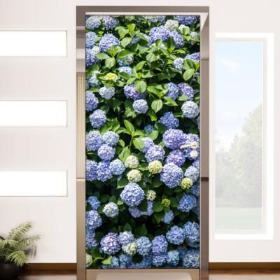 cr819-만개한수국_현관문시트지