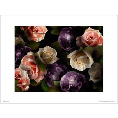 PDH01390 Roses dark (40x50)