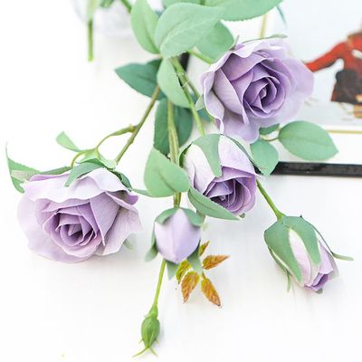 슈마켓 로즈 에스메랄다가지 퍼플1P(WFIT0IC)