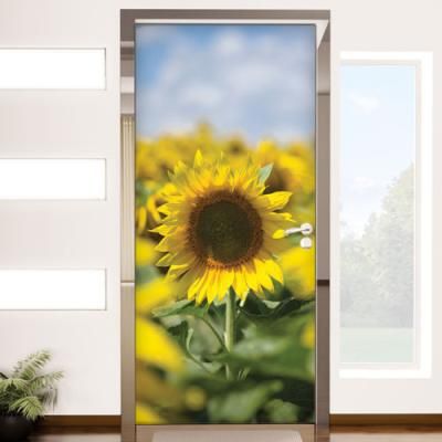 bh654-하늘해바라기_현관문시트지