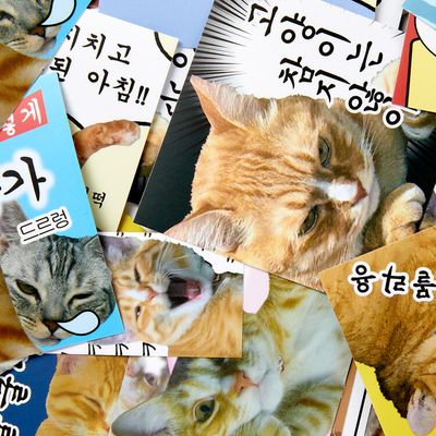 아트박스 고양씨의하루 스티커팩