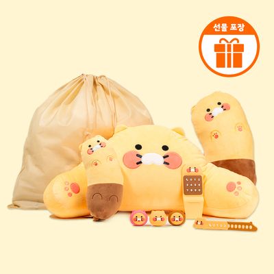 "차량용품 선물세트" 카카오프렌즈 차량용품 5종 세트