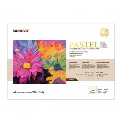 문교 파스텔 전용지 화이트 A4 30매 160g