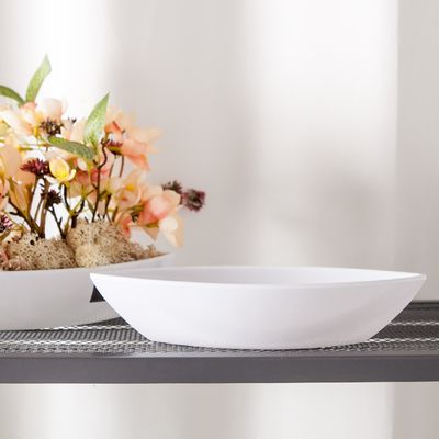 아크릴 플라스틱 도자기 수반 미니 26x5cm 장식 소품