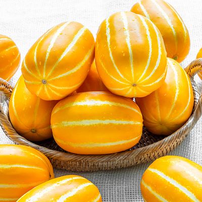 [자연예서] 성주 참외 10kg (21-25과)특대