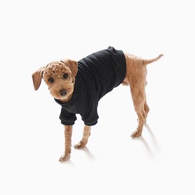 SWEAT SHIRT(black)