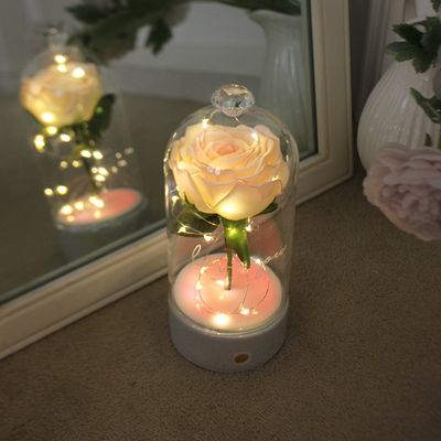 로즈 블랑돔 LED 무드등-Rose Blanc Dome led lights
