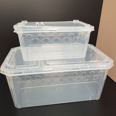 대형 파충류 아크릴 사육장 도마뱀 전용 사육용품(WFMAEIR)