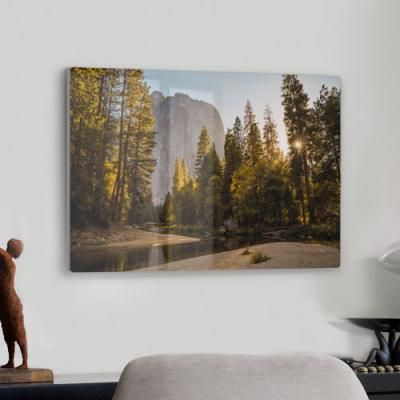 da395-폼아크릴액자58CmX38Cm_햇살의캘리포니아숲