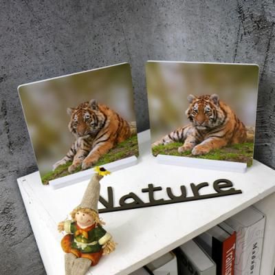 pf106-스탠드액자2P포동포동아기호랑이