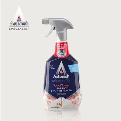 아스토니쉬 영국 만능 얼룩제거 클리너 750ml