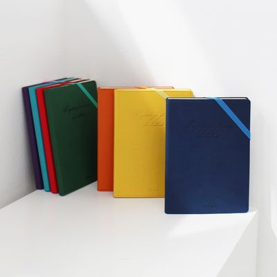 비팬시 마이데이 하드커버 카드포켓 만년 다이어리 A5