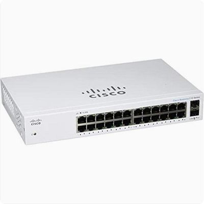 시스코 CISCO SB 스위치 24포트 2SFP (SG95-24 후속)