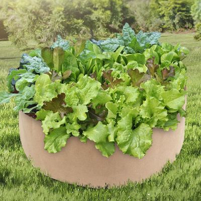 부직포 화분 초록가든 실내재배 화단(WFLOSL0)