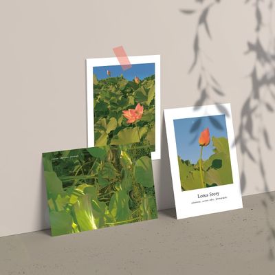 Lotus Story 엽서 3종