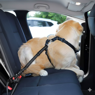 PH 하네스 애완동물 차량 시트 벨트 리드 AQ24421