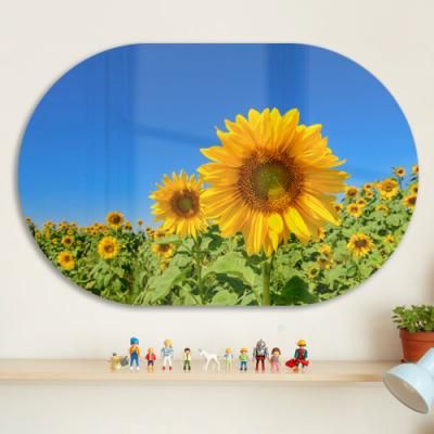 da088-폼아크릴액자58CmX38Cm타원_파란하늘과해바라기