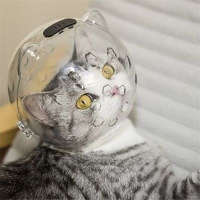 고양이 미용 마스크 고양이 목욕 헬멧 반려묘 스트레스 가리개 입마개 이동장 보호대 털깎기 스파 치료(WFPD7A1)