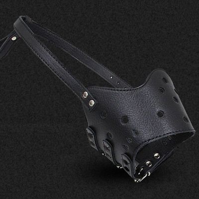 [와인앤쿡]사이즈조절 가죽 입마개 S사이즈