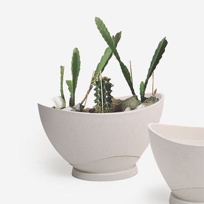 히키스플랜트 중형화분 봄 분갈이 가벼운 바운스화분