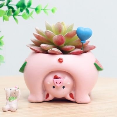 ROOGO 루고 다육이 화분 거꾸로 보는 세계 돼지