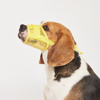 반려견용 매쉬 안전 입마개 2p 강아지 산책 외출 짖음방지 물림방지(WFLBFTF)