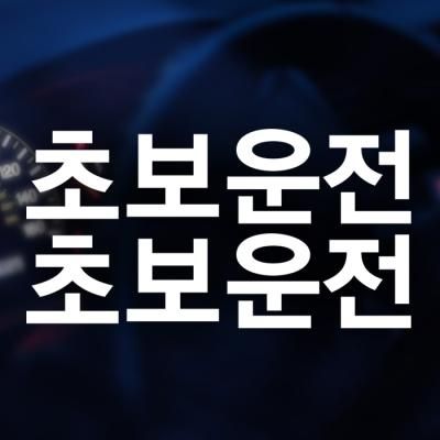 자동차스티커 초보운전스티커 016