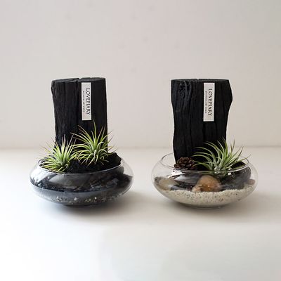 차콜 플래닛 에어 오브제(Charcoal Planet Air Objet)