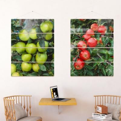 nk072-멀티아크릴액자_사과나무(4단대형)