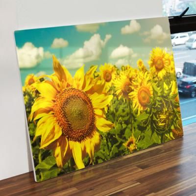 tl312-폼아크릴액자58CmX38Cm_금전운해바라기꽃밭