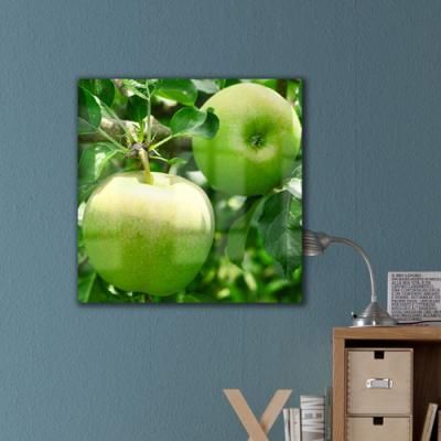 pc805-폼아크릴액자38CmX38Cm_푸른사과나무