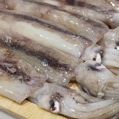 오징어 1kg 냉동오징어 맥주안주 오징어통찜 오징어요리(WFPDPUJ)